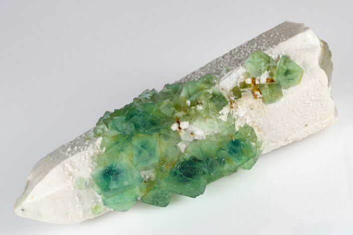 Green, Octahedral Fluorite on Milky Quartz - Inner Mongolia #181713